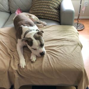 Meet your Posher, Rita